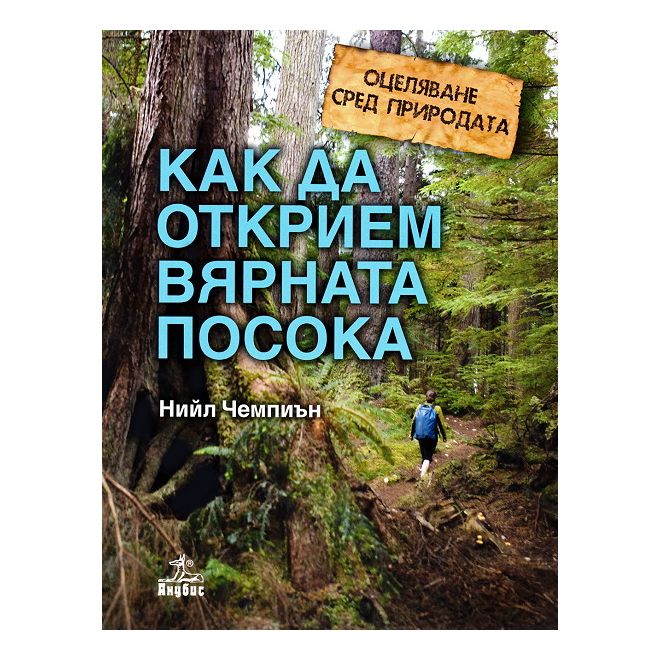 Оцеляване сред природата: Как да открием вярната посока 200460