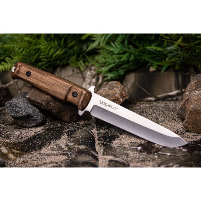 Тактически нож Kizlyar Trident 420HC SW Walnut 205054 1