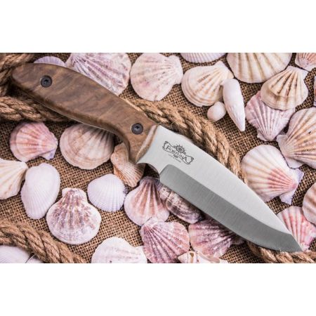 Нож Kizlyar Fortuna AUS-8 Satin Walnut 201443 1