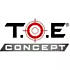  T. O. E. Concept